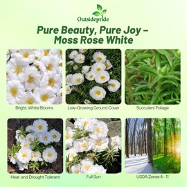Outsidepride White Moss Rose Seeds - 5000 Pcs Annual, Drought & Heat Tolerant, Pollinator Friendly Ground Cover Seeds for Planting w/Vibrant Blooms & Succulent Foliage, Ideal for Xeriscaping
