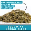 Afterglobe Cool Mint Herbal Blend | Marshmallow Leaf, Damiana, Calendula,