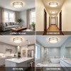 36W 13Inch LED Ceiling Light Surface Flush Mount Light Fixtures