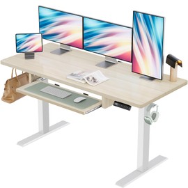 Marsail Electric Standing Desk with Ergonomic Keyboard Tray, Adjustable Desk with 27.5” to 46.7” Height Range, 4 Memory Presets, Smooth and Quiet Lifting, 55 x 24 inch Adjustable Height,TZESD15Modern