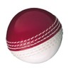 Gunn & Moore GM Cricket Training Ball, Skills Ball, Red/White,