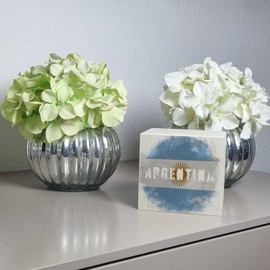 Wooden money box with Argentina flag in used look, piggy bank for holidaymakers, a beautiful money box decorated with the Argentine national flag to travel to