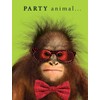 Piccadilly Greetings Party Animal Birthday Card Chimp - 8 x