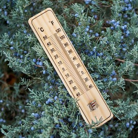 Vilde Outdoor Thermometer Indoor Hanging Thermometer for Indoor Balcony Patio Classic Design 22 cm