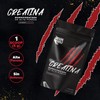 Creatina Monohidratada Dark Wolf, Alta Pureza, 100% Natural, Sin OGM,