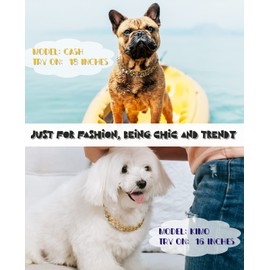 Cuban Link Dog Collar - 3/4 inch Wide Light Metal Gold Chain Dog Necklace, Cute Fashion Jewelry Accessories for Puppy, Trends Custome for Frenchie Dog, Bully, Doberman 14 inches