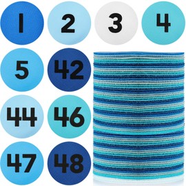 Ireer 48 Pcs Carpet Marker Spots, Carpet Dots with Number 1-48, Line up Spots for Classroom Rug,4 Inch Floor Dots for Teacher Supplies, Classroom Decoration (Black，Blue Gray)