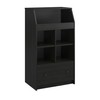 Ameriwood Home The Loft 2 Door Storage Tower, Black Oak