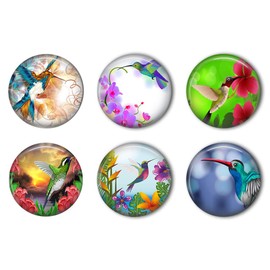 Hummingbird Refrigerator Magnet Set