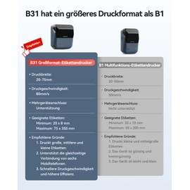 NIIMBOT B31 Label Printer Labelling Device Label Printer