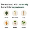 Koi Ancient Superfoods Koi Legendary Greens Powder