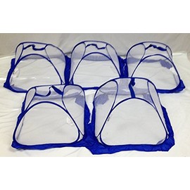 Playhut E Z Twist Food Covers 5 Piece Set Blue