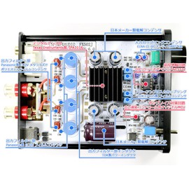 FX-AUDIO- FX-502J [Black] 50W x 2ch Pre-Main Amplifier with TPA3116