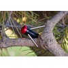 TEC Accessories RETREEV - Mini Grappling Hook Retrieval Tool -
