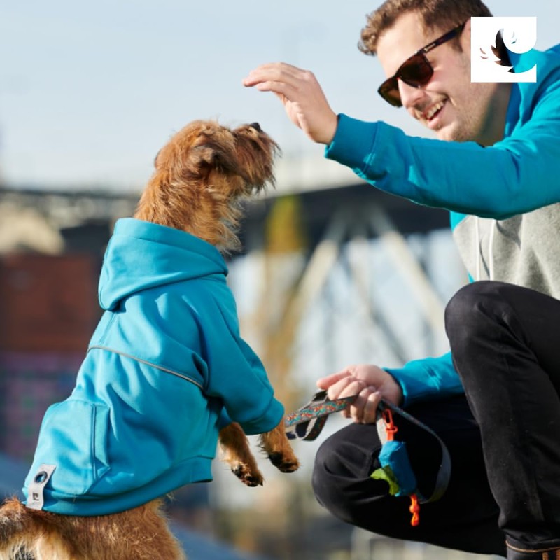 Rc Pets, P.U.P. Dog Poop Bag Dispenser Heather Olive