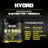 Beast Hydro Electrolytes Powder 60 Servings Keto Electrolyte Drinks for