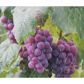 LXGKREL Bird Protection Net, Bird Net, Pond Net, Garden Net, Pool Net for Garden, Balcony or Pond, Cherry Tree, Robust UV-Resistant, Mesh Size 17 mm