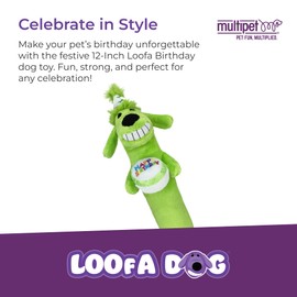 Multipet Loofa Dog Plush Toy w/ Birthday Hat - Squeaky Dog Toy for Dogs - Soft Plush - Stuffed Animal Dog Toys for Playing (1 Count, 12”, Random Color Surprise)