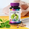 Holidays Diet Catechin 300 2 bottles (120 tablets) / 홀리데이즈