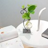 Marbrasse Desktop Glass Planter Hydroponics Vase,Planter Bulb Vase with Holder