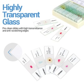 LAKWAR 30 Microscope Slides with Specimens for Kids, Prepared Microscope Slides for Kids Microbiology, Glass Slides for Microscope, Biology Gifts for Adults Kids