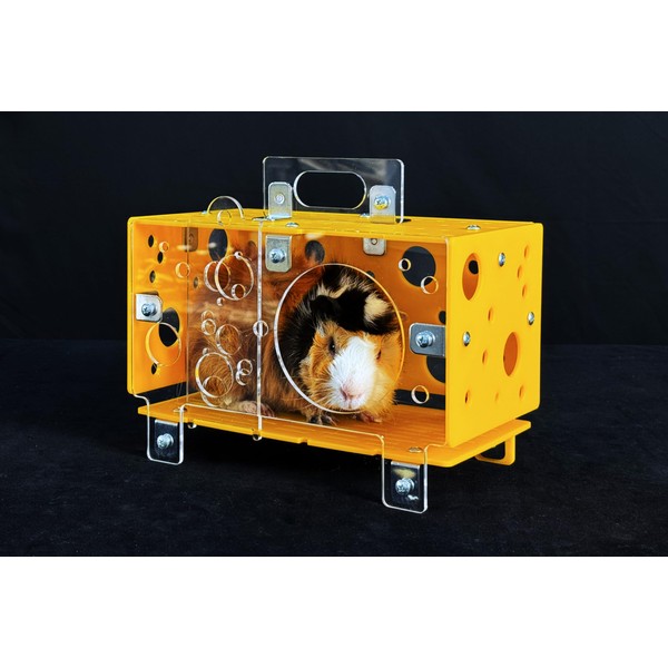 GuineaLoft™ Guinea Pig Cheese House (Single) - The Ultimate Guinea