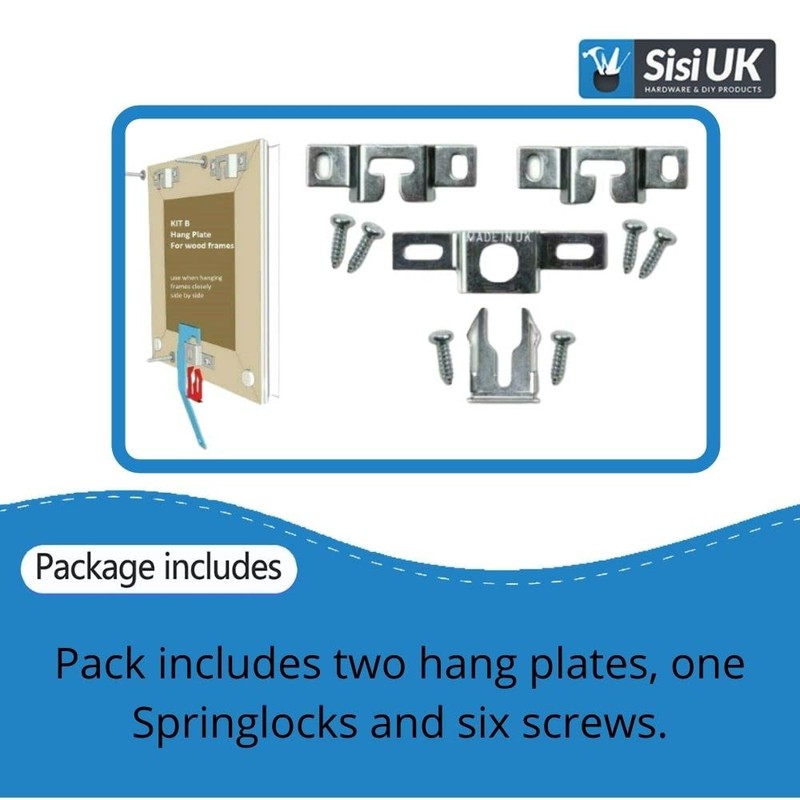 Anti Theft Security Picture Hangers Kit Spring Lock Quick Release