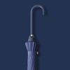 16 Bone Long Handled Umbrella Leather Handle Rain and Shine
