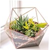 Gatuida 3 Pcs Mantis Shape Iron Garden Ornament Vivid Hanging