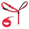 Head Halter for Dogs, Adjustable Dog Headcollar with 120 cm