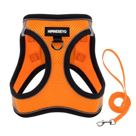 Dog Harness and Leash Set, Dog Harness for Dogs No Pull, No-Chock Step-in Reflective Breathable Lightweight Easy Walk Vest Harnesses with Safety Buckle for Small Medium Dogs, Cats (Orange, XS)