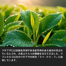 Spade Leaf Herbal Repair Cream, 1.4 oz (40 g), Set of 2, For Sensitive Skin, Dry Skin, Anti-dryness, CICA Deer, Cica Cream, Moisturizing Cream, Men's, Skin Care, Made in Japan