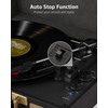 Vinyl Record Player 3 Speed Turntable with Bluetooth, Built in