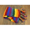 LOUDelephant Chunky Wool knit striped scarf - Rainbow (One Size)