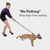 Slip-Lead Dog-Leash Medium-Training Rope - 6ft Foot Big Large Reflective
