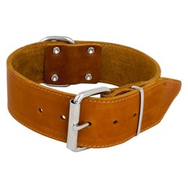 Jack and Vanilla - Large Dog Collar Fat Leather - For Medium and Large Dogs - Strong, Durable, Soft Feel - Modern Look - Cognac Colour, Size 30 mm x 45 cm