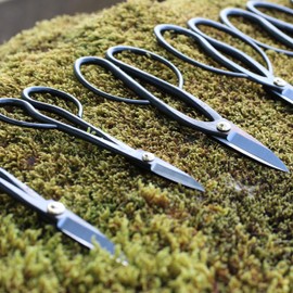 KAKURI Ashinaga Bonsai Scissors Made in Japan 8", Japanese Carbon Steel Blade, Long Handle Bonsai Shears for Precision Pruning and Trimming