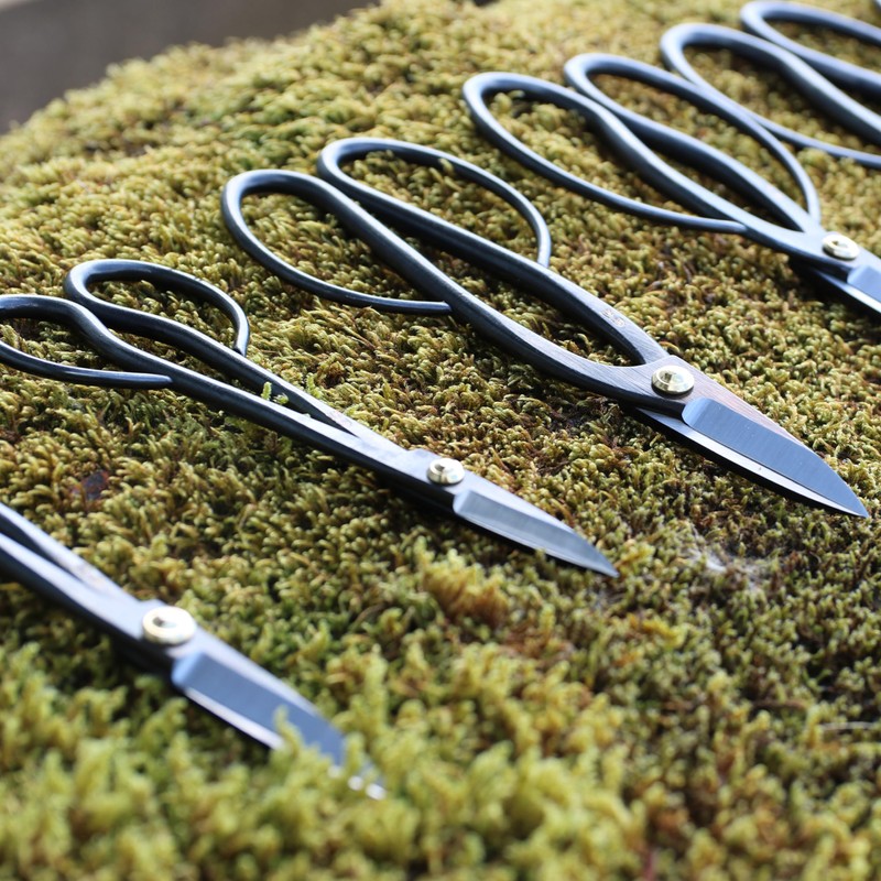 KAKURI Ashinaga Bonsai Scissors Made in Japan 8", Japanese Carbon