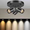 VANoopee 5 Color 3 Light LED Ceiling Spot Light Indoor