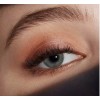 Estée Lauder Estee Lauder Pure Color Envy Luxe Eyeshadow Quad