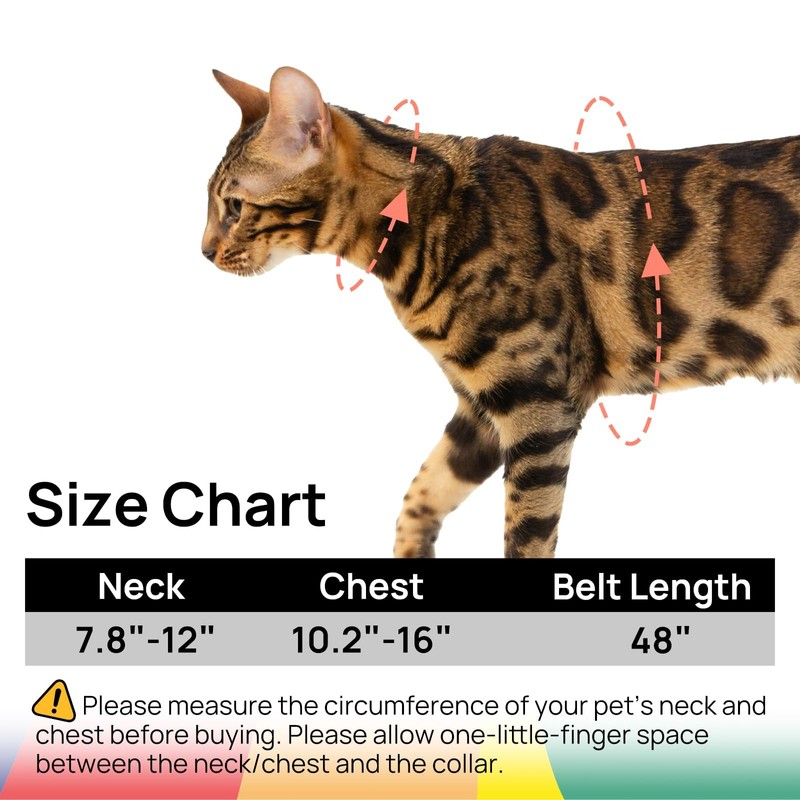 Cat Harness and Leash Set - Escape Proof Adjustable Cat