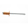 4mm x 12mm Copper Blind Pop Rivet Dome Head Steel
