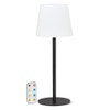 Abbott Collection Black Outdoor LED Table Light/Lamp with Remote -
