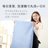 Sylphies Bed Pad, Single, Absorbent, Quick Drying, Antibacterial, Odor Resistant,