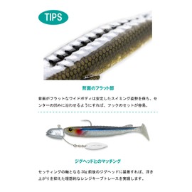 Ecogear Celtic 4" 545 Baitfish Magic
