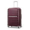 Samsonite Freeform Hardside Expandable with Double Spinner Wheels, Checked-Medium 24-Inch,