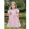 Tutu.kk Toddler Tutu Dress Little Girls Short Sleeve Fluffy Tulle