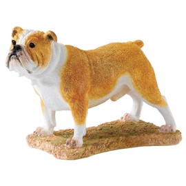 Bfa Studio Dogs Bulldog