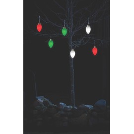 Xodus Innovations WP900 Battery Powered Hanging Decorative Outdoor Pulsing 8 inch C9 Bulb Style Light with Sensor Turns-On at Dark, Single