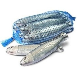 Michel cluizel French Schokolade ? "Sardinen EN Chocolat au Lait" Milch Schokolade Sardinen, 6 Stück Netz, 90 g/3.17oz.